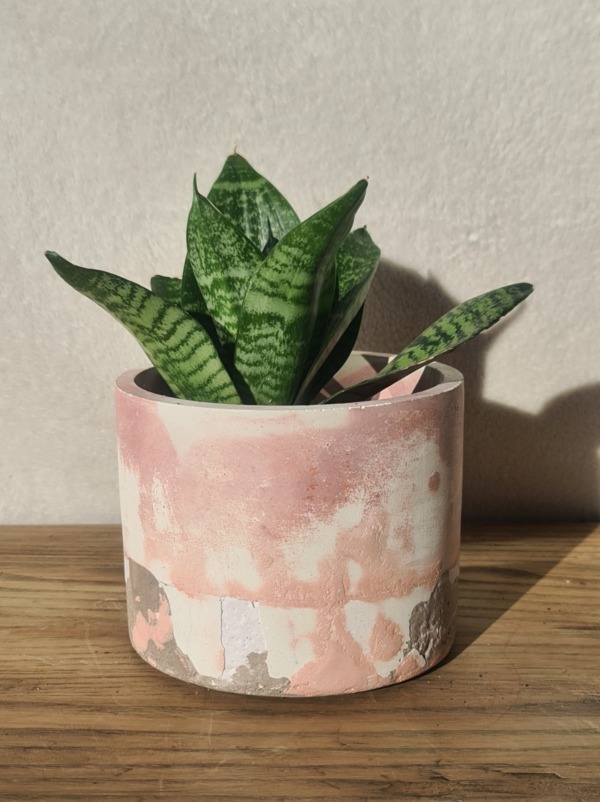 Grey, White and Pink - immagine 5