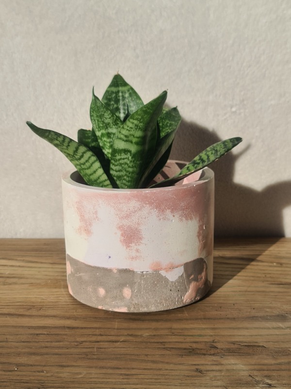 Grey, White and Pink - immagine 4