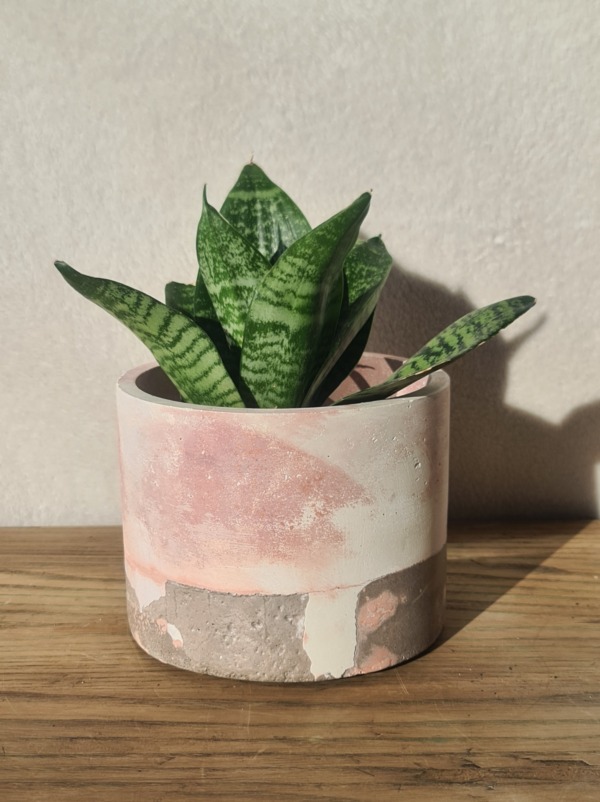 Grey, White and Pink - immagine 3