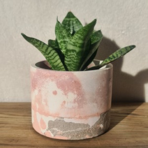 Grey, White and Pink