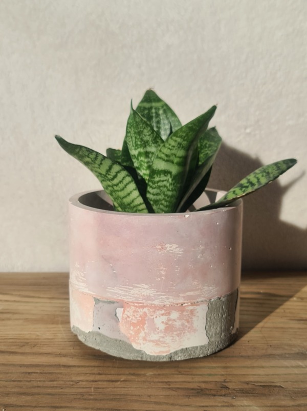 Liliac, Grey and White - immagine 5