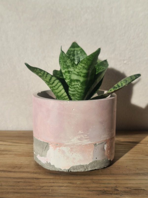 Liliac, Grey and White