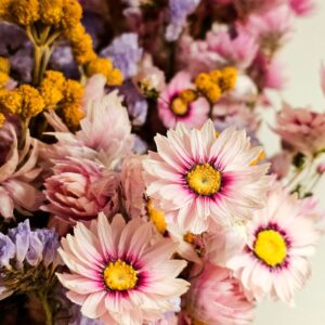 Fiori Big