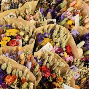 Fiori Medium