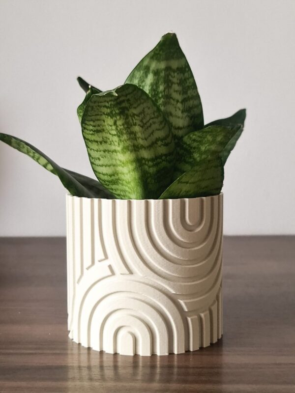 Vaso Rainbow