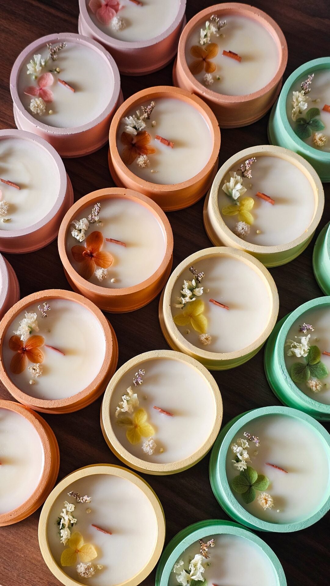 Candela Scrigno - immagine 2