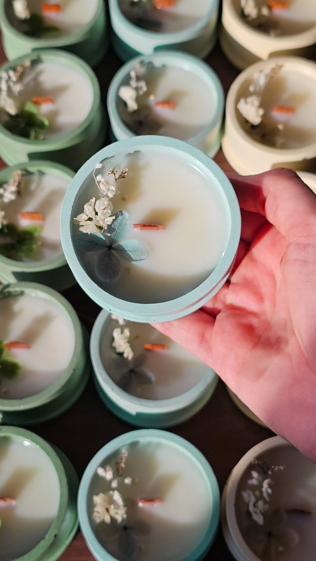 Candela Scrigno - immagine 5