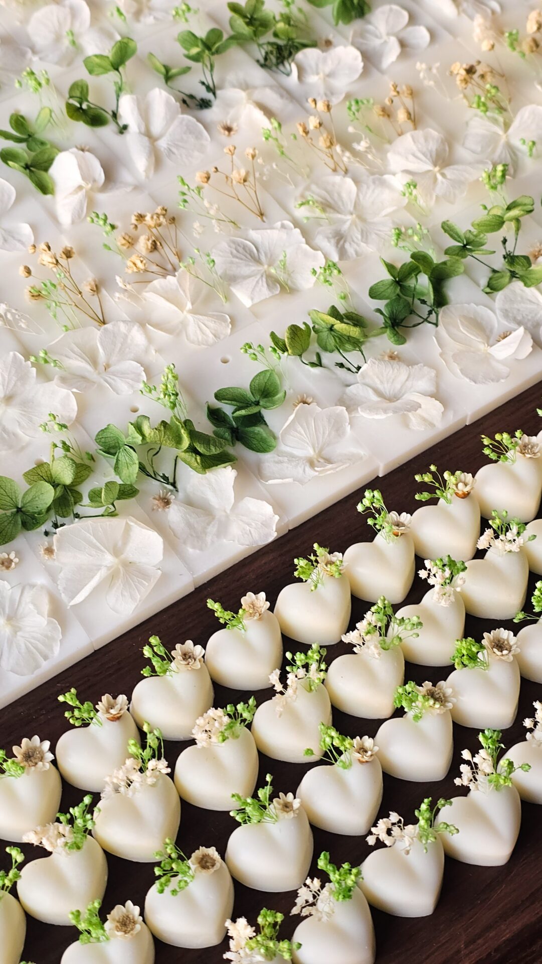 Cialdine botaniche - immagine 5