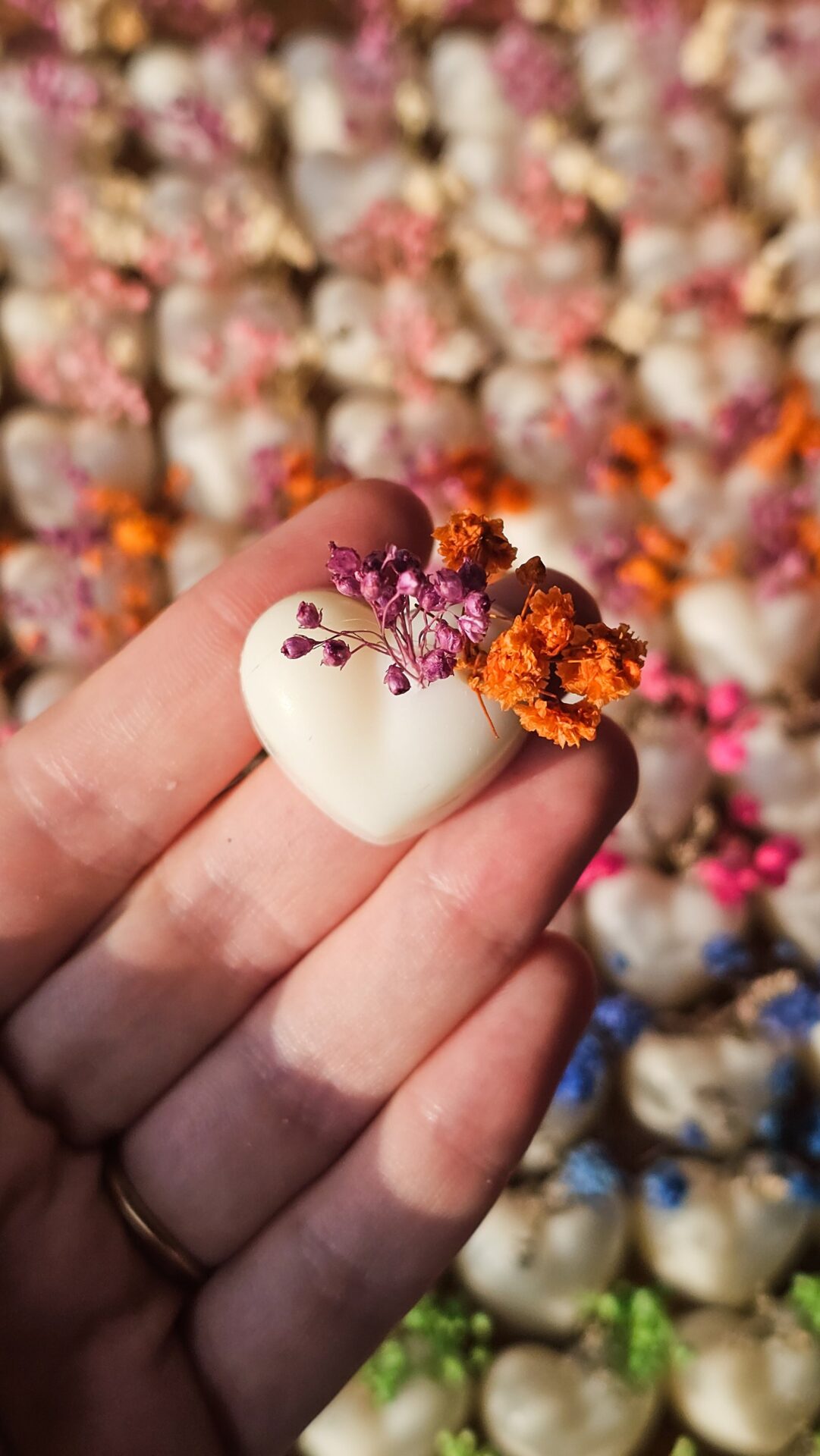 Cialdine botaniche - immagine 15