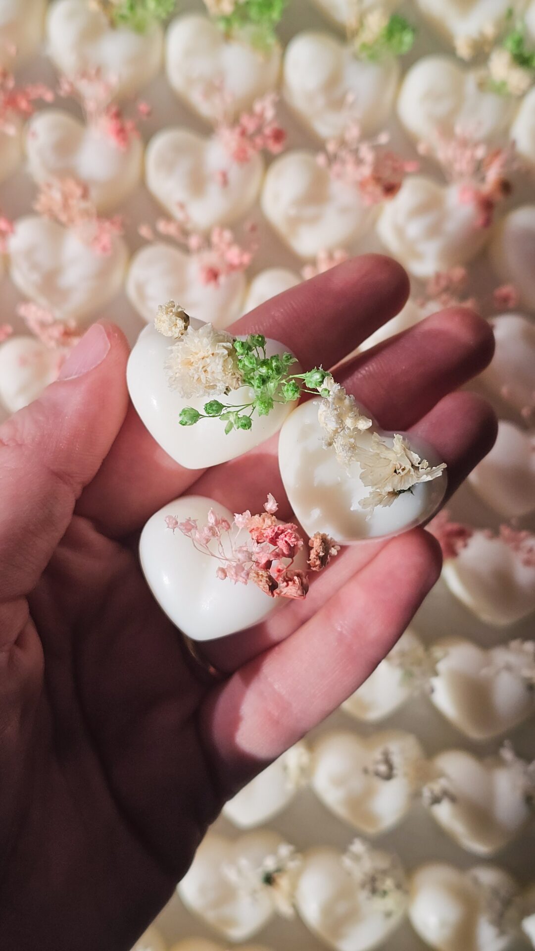 Cialdine botaniche - immagine 16