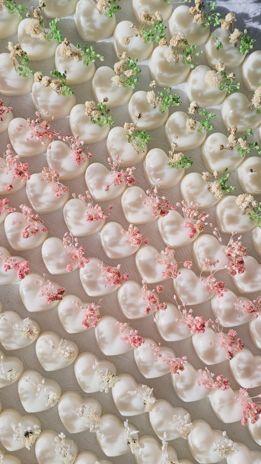 Cialdine botaniche - immagine 6