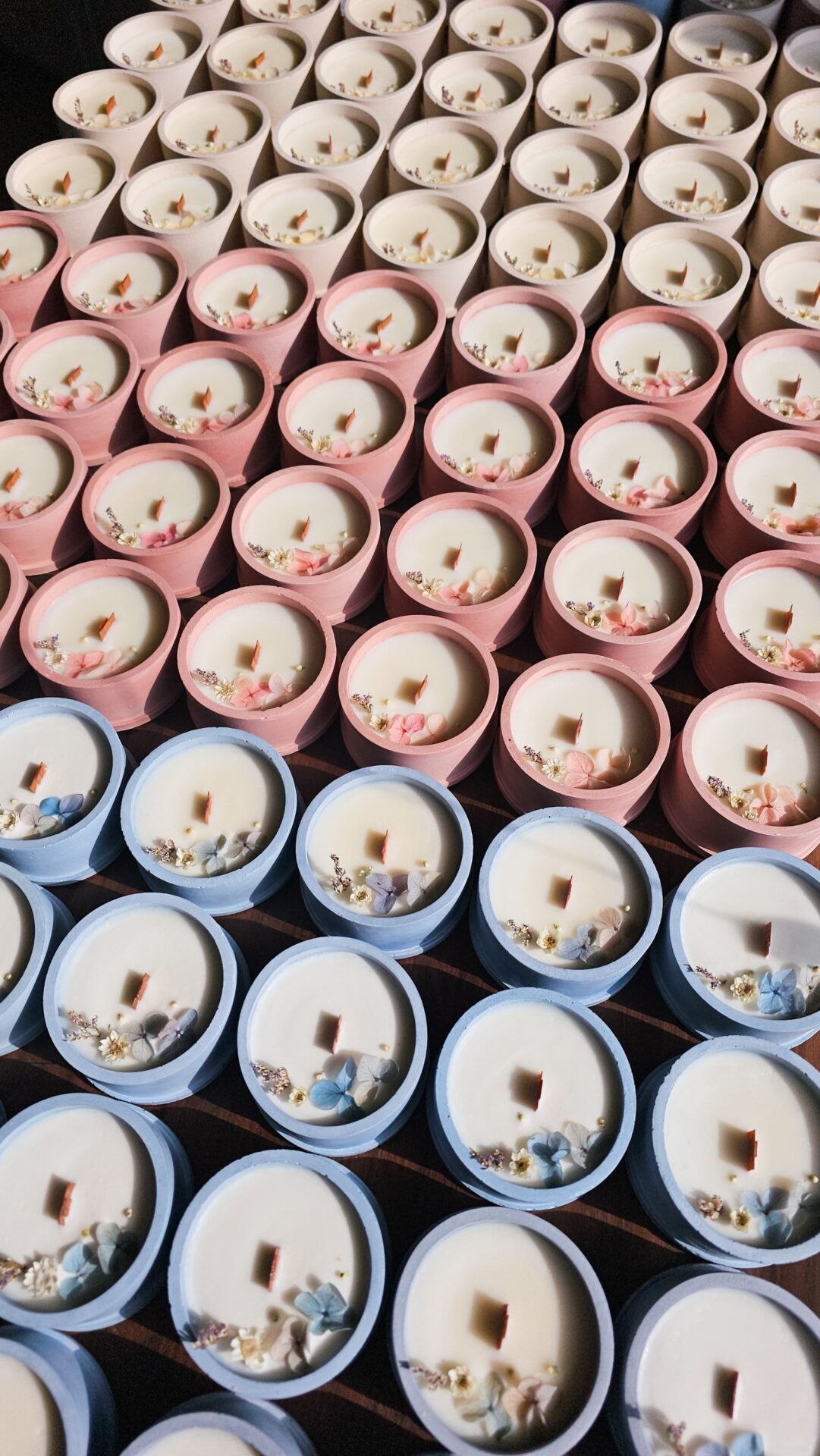 Candela Scrigno - immagine 14