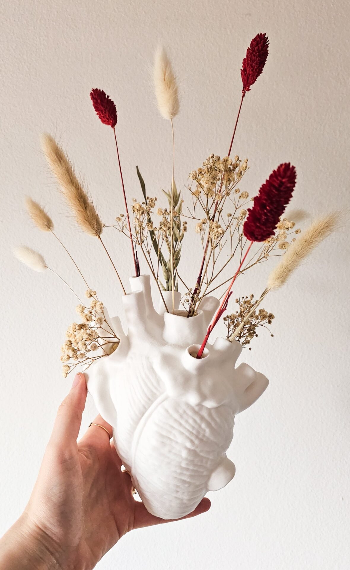 Vaso Cuore Anatomico - immagine 2