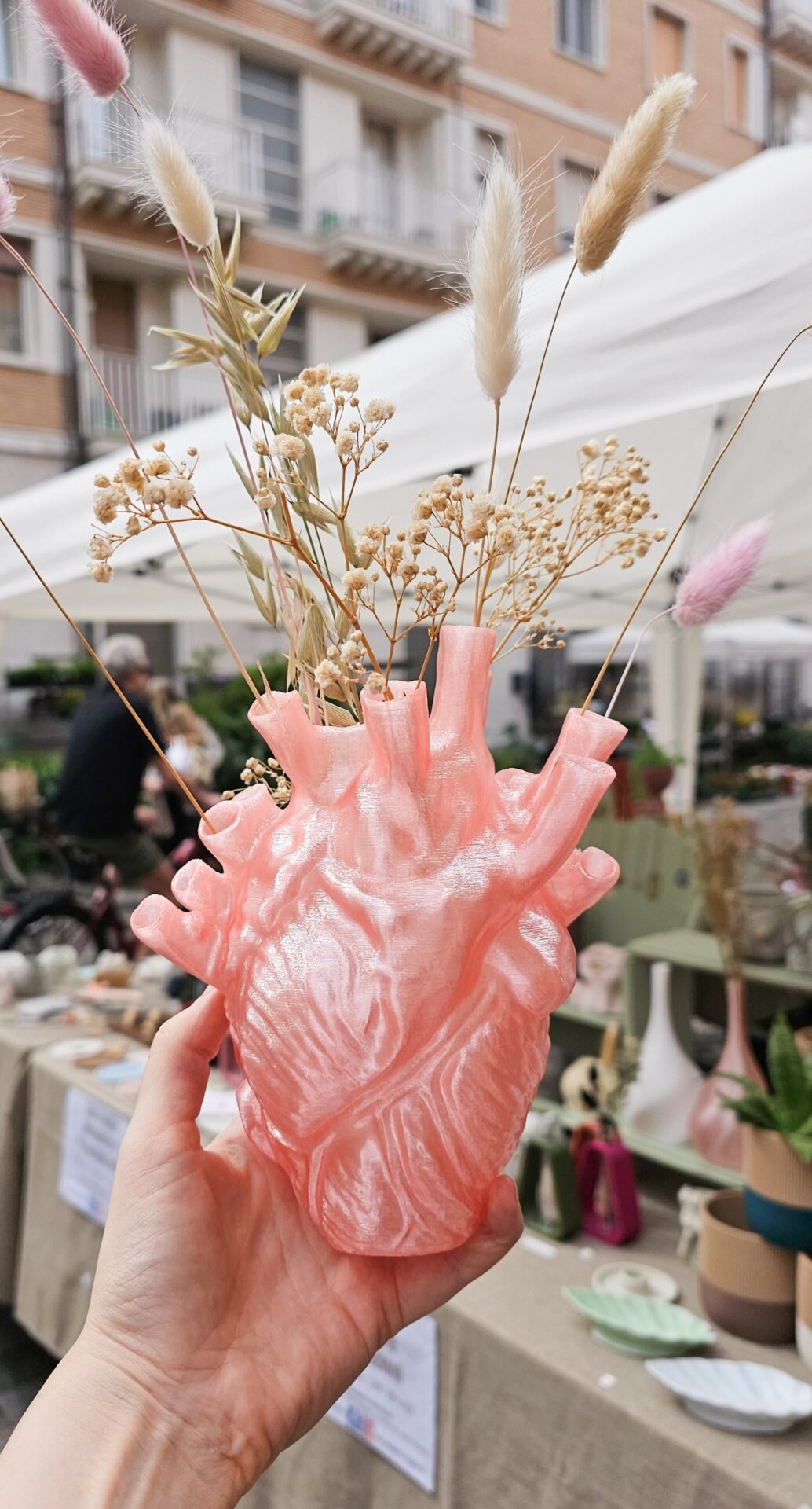 Vaso Cuore Anatomico - immagine 4